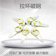 拉环磁铁.X射线探伤拉环磁铁